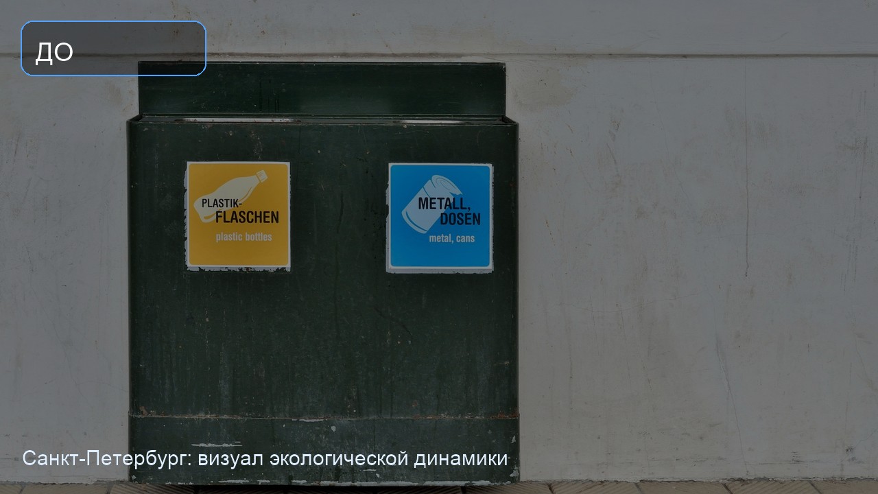 Состояние городской территории до регулярной утилизации в Санкт-Петербурге